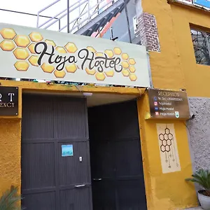 Hoja Auberge de jeunesse Tirana